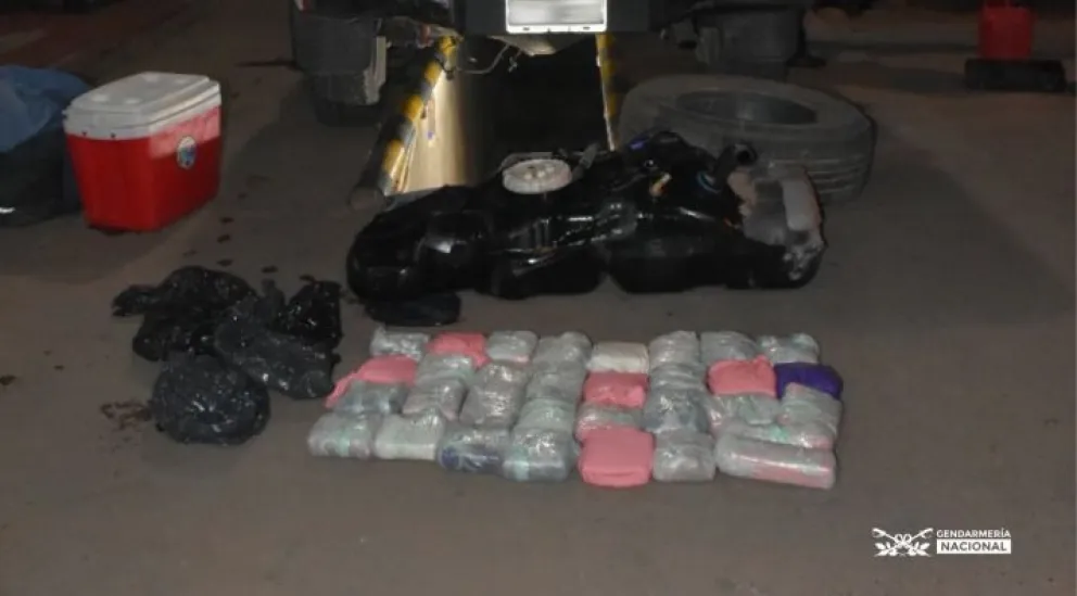 Estaba bien escondida: el perro gendarme descubrió dónde llevaban la cocaína
