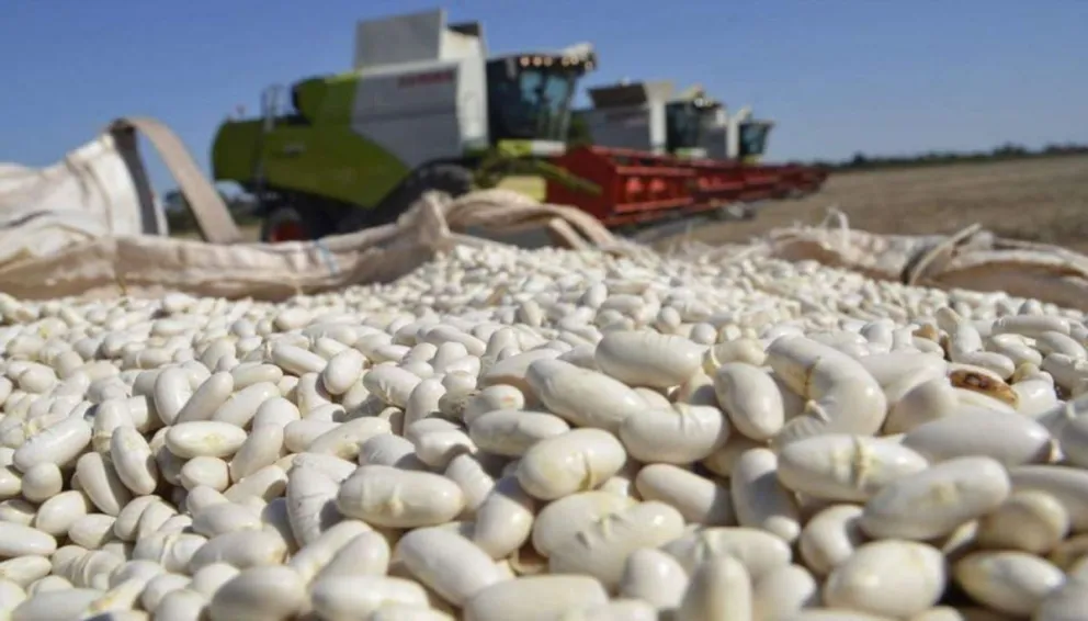 Salta es la segunda en exportaciones del NOA