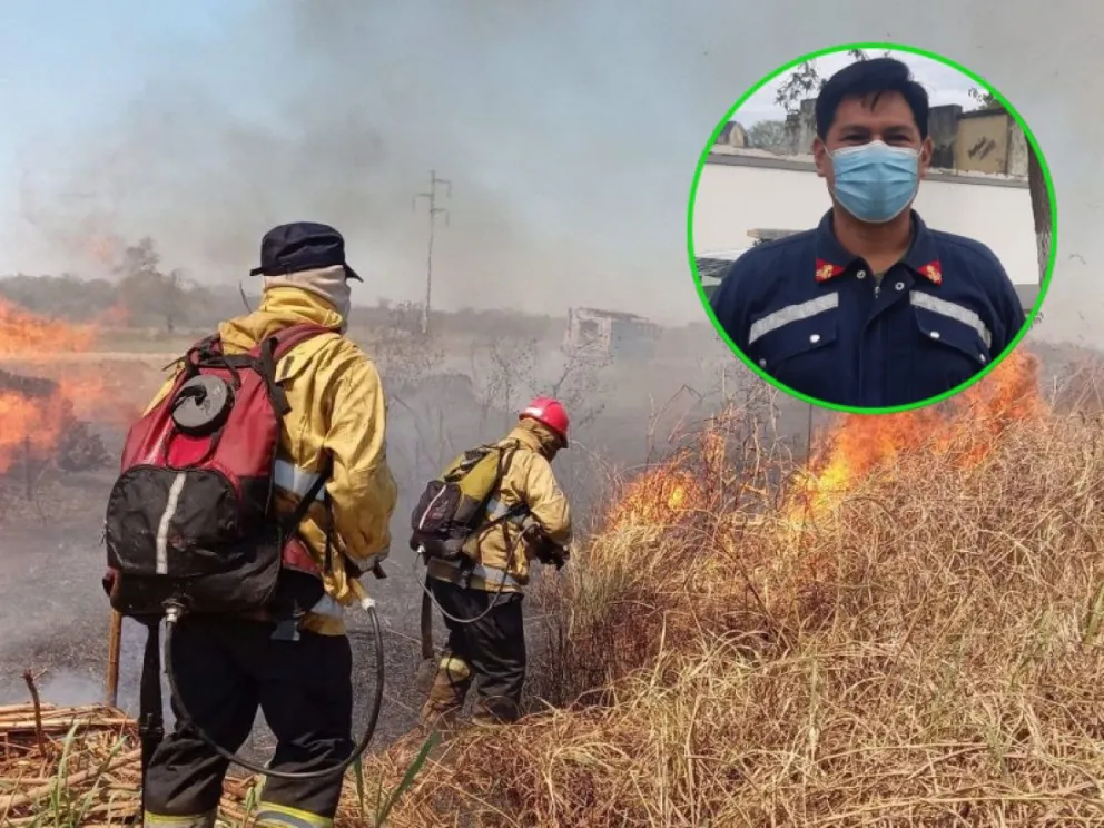 Una cifra desgarradora: dieron a conocer la cantidad de hectáreas que se han perdido a causa del fuego