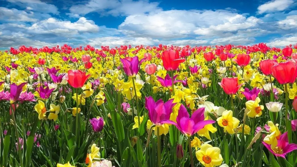 21 de septiembre sin Primavera: cuándo inicia oficialmente y por qué no es hoy