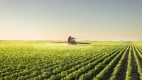 Nuevas tensiones entre el Gobierno y el sector agroexportador
