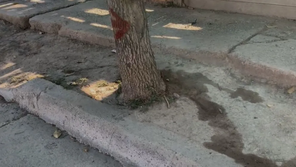 Conmoción en un barrio salteño: encontraron un cuerpo desangrado sobre la vía pública