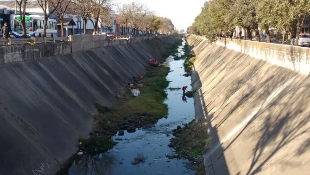 ¡Pobrecito! Encontraron un animal dentro del canal de Av. Yrigoyen