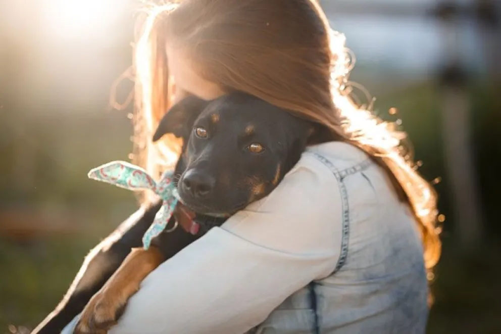 Proteccionistas de animales exigen que se registre a los maltratadores