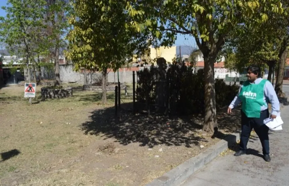 Salteño se puso a talar los árboles de una plaza, para poder pasar con su auto