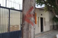 Crece el misterio en la ciudad por unas marcas rojas que hay en los árboles