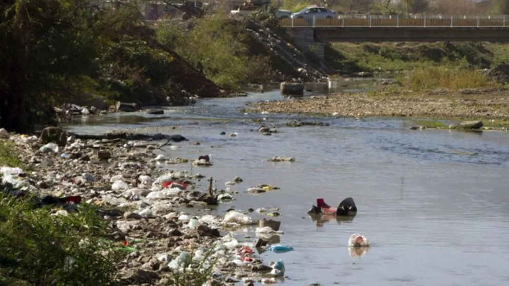 Brote de Salmonella: prohíben el riego de hortalizas y verduras con el agua contaminada del Río Arenales