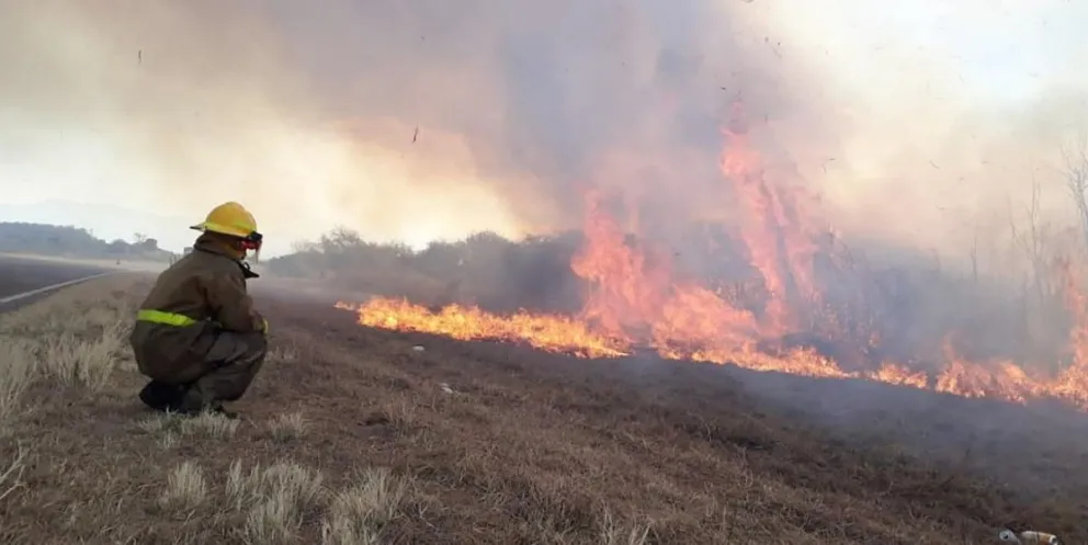  Advierten sobre las consecuencias del fuego: "Lo tenemos que pensar como un problema ambiental"