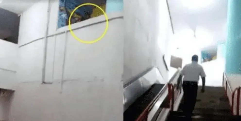 Fantasma aterra a empleados del tren 