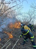 ¿Los incendios en Chicoana fueron intencionales? bomberos dieron a conocer sus sospechas
