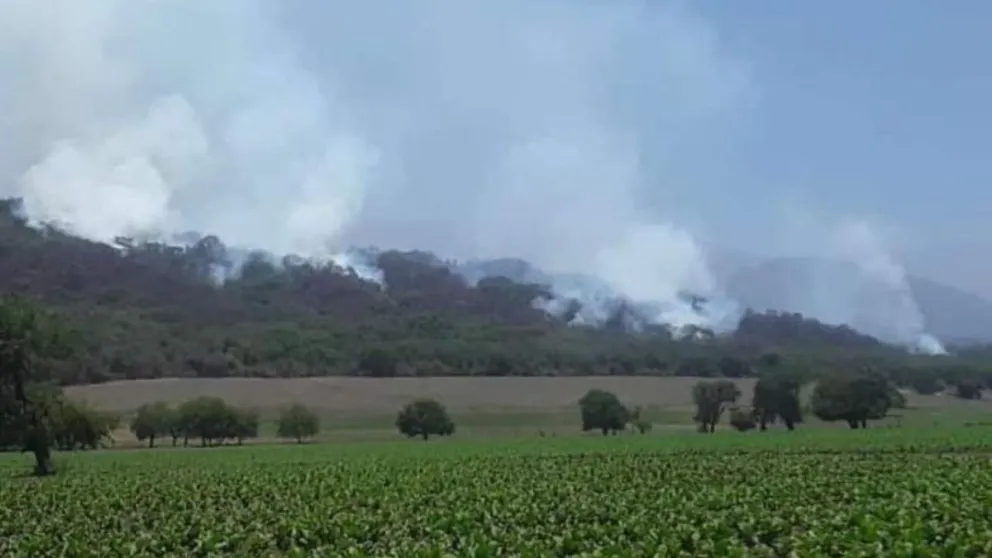 Terrible: se produjo un nuevo incendio en otro sector de la provincia