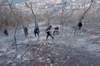 Bomberos y brigadistas le ganaron a las llamas: la situación en el cerro 20 de Febrero está controlada