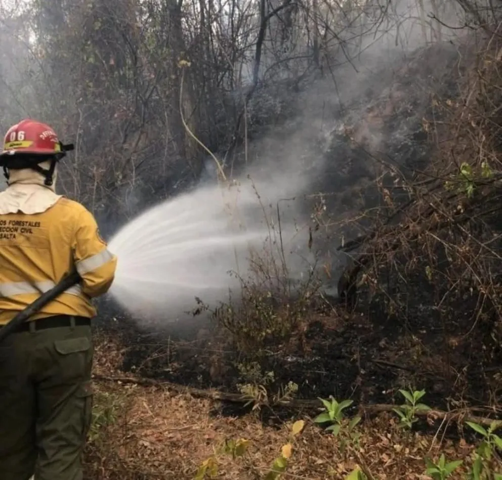 Orán, Colonia Santa Rosa, El Oculto y Valle Morado en alerta: Nación envía más brigadistas para ayudar 