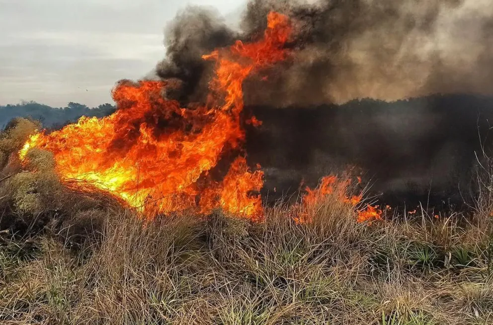Investigan si los incendios de Orán fueron intencionales