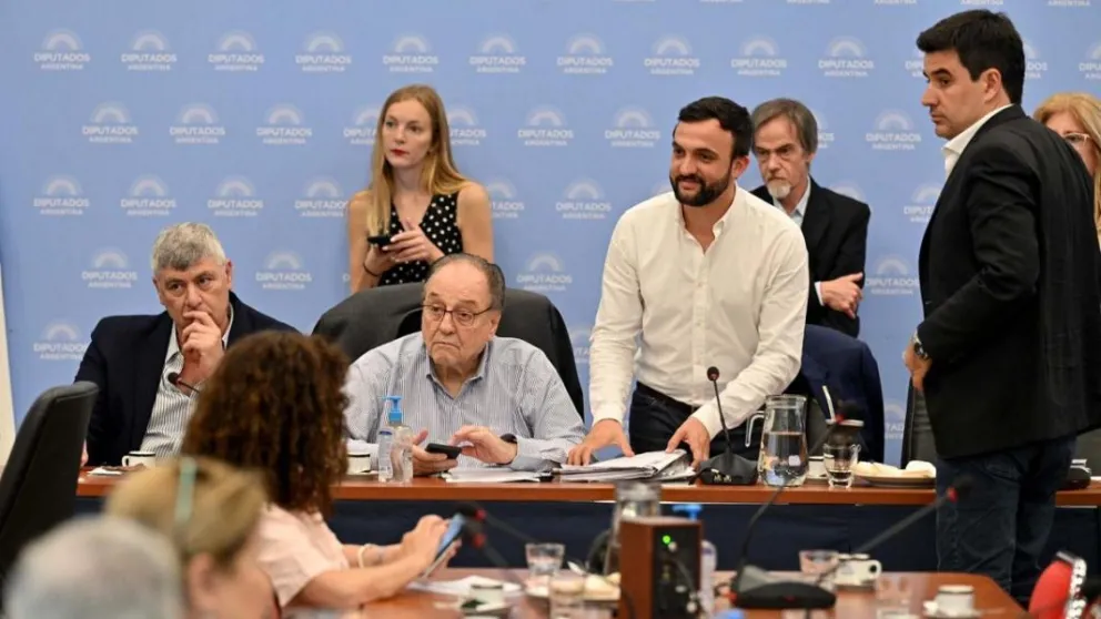 Se aprobó el dictamen de la Ley de Humedales y se podrá tratar antes de fin de año