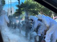 Enjambre de abejas invadió una plaza céntrica y envió a más de 30 personas al hospital