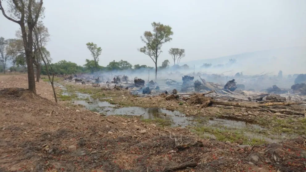 Se conocen las razones por el cual hay tantos incendios en la provincia