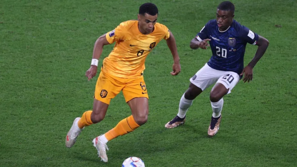 ¡Partidazo! Países Bajos y Ecuador empataron 1 a 1 en su segundo partido del Mundial Qatar 2022
