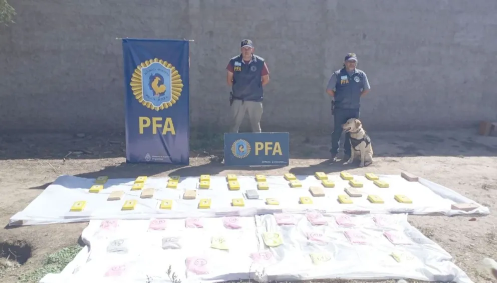 Golpe al narcotráfico: autoridades incautaron un cargamento que puede ser mortal para las personas