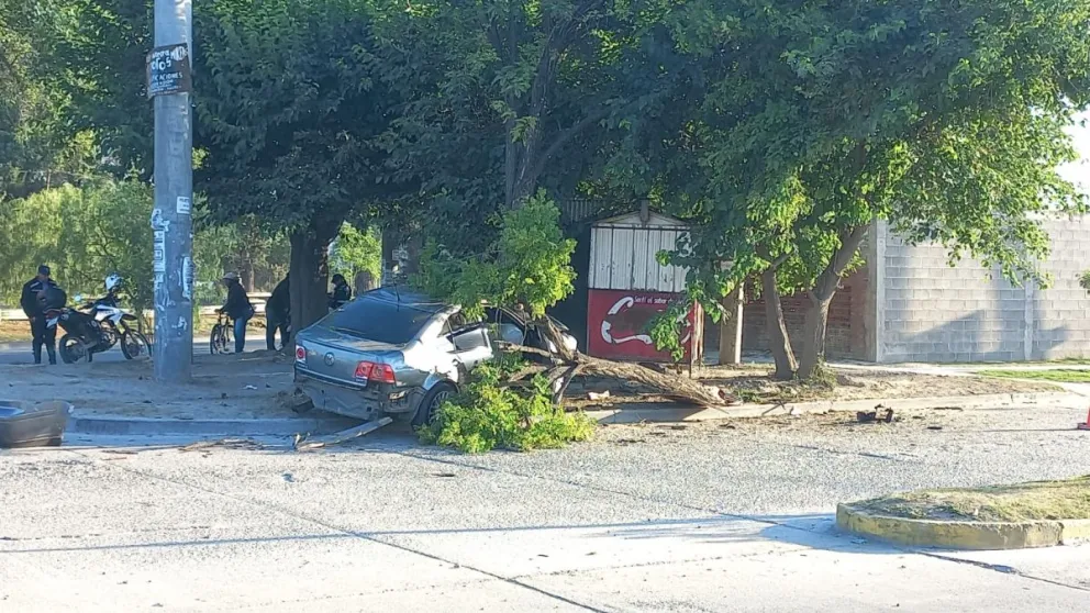 Terrible accidente: vehículo impactó de frente contra un árbol y quedó destrozado