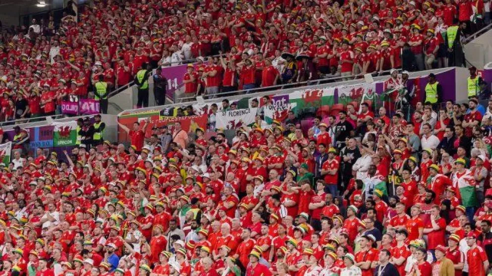 Mundial de Qatar 2022: un hincha perdió la vida cuando estaba viendo el partido