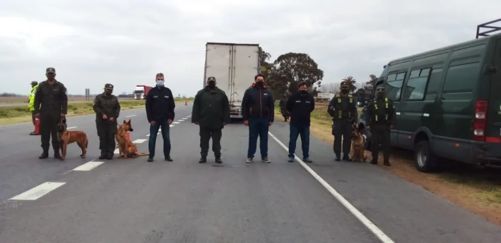 Intentaron salir de la provincia con cocaína y un perro se los prohibió