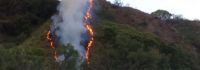 Nuevo incendio en la provincia: Campo Quijano en llamas