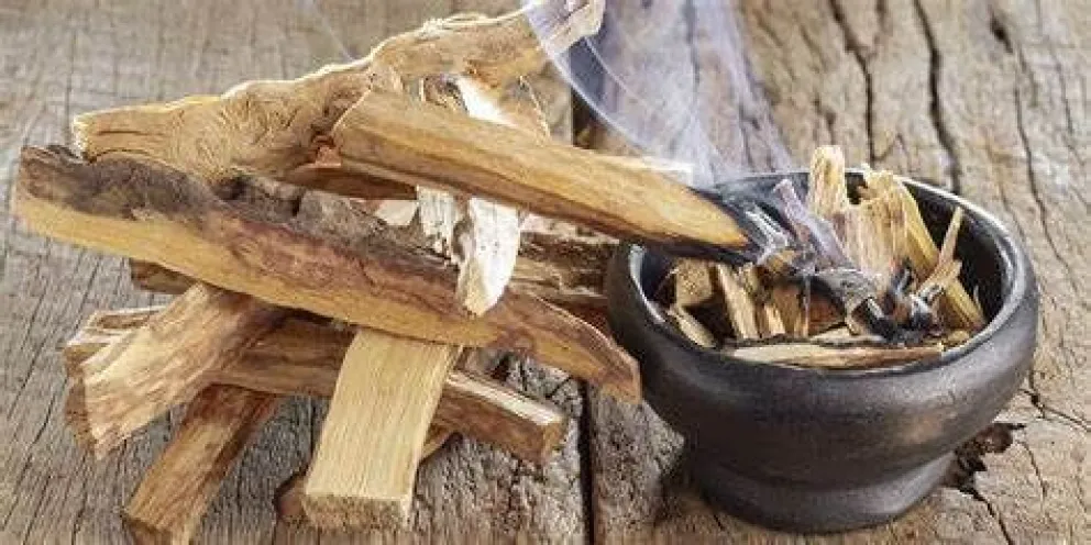 Trasladaban en un camión 700 postes de madera de palo santo sin declarar