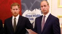 Lo que hará el príncipe Guillermo ante la dura acusación de Harry contra la monarquía británica 