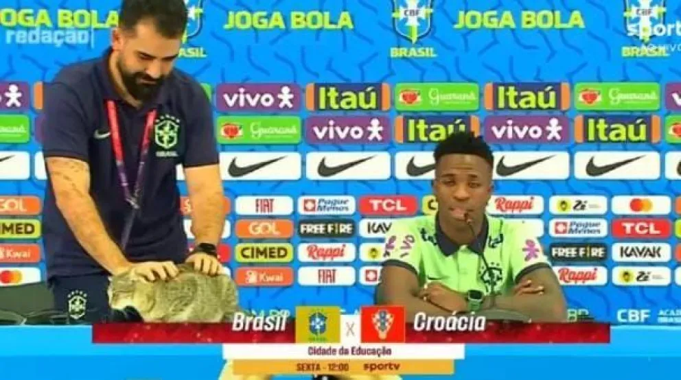 ¡Insólito! un gato interrumpió la conferencia de prensa de Vinicius Junior 