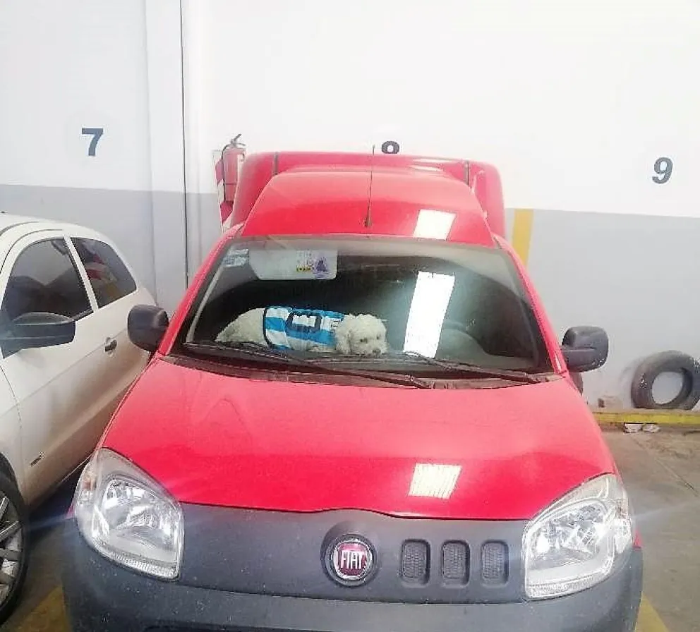 Salteña enfurecida: se encontró a un perro dentro de un auto, con las ventanas cerradas y muriendo de calor