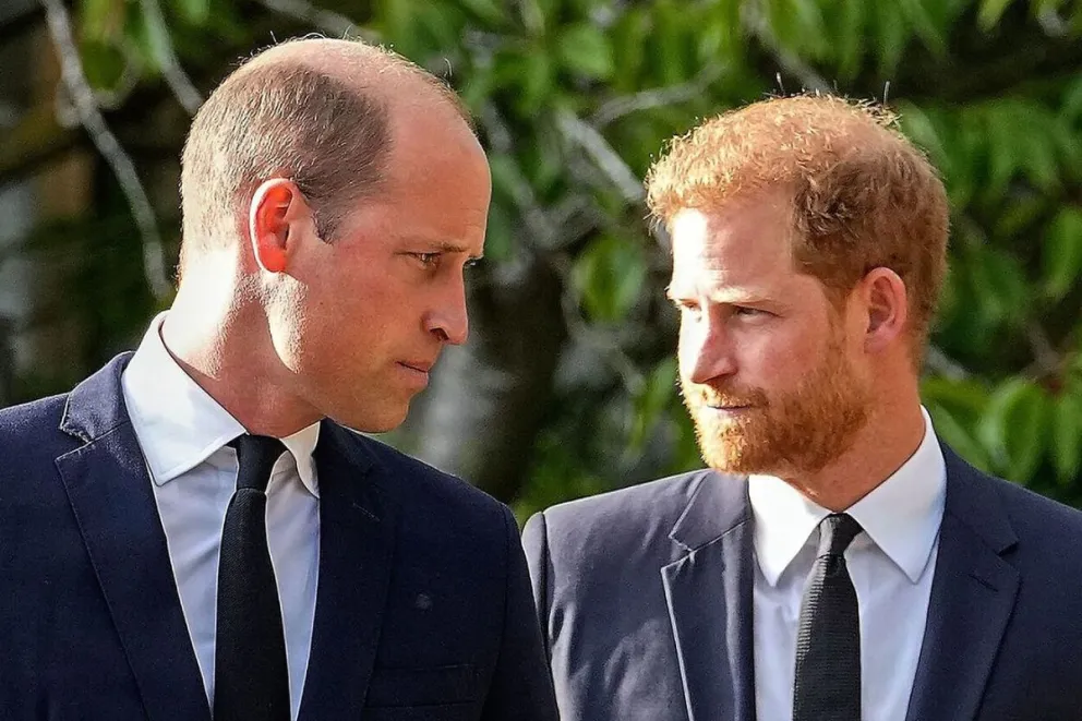 Esta es la verdadera razón de la enemistad entre el Príncipe Harry y William
