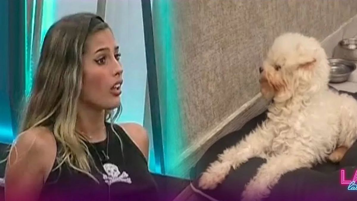 Julieta Poggio dijo que su familia no quiere a su perra.