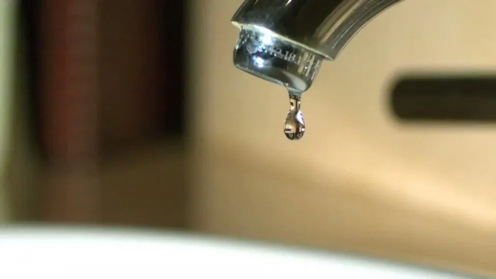 Conmoción en el Departamento de Rivadavia: descubrieron que el agua de una escuela contenía parásitos "potencialmente mortales"