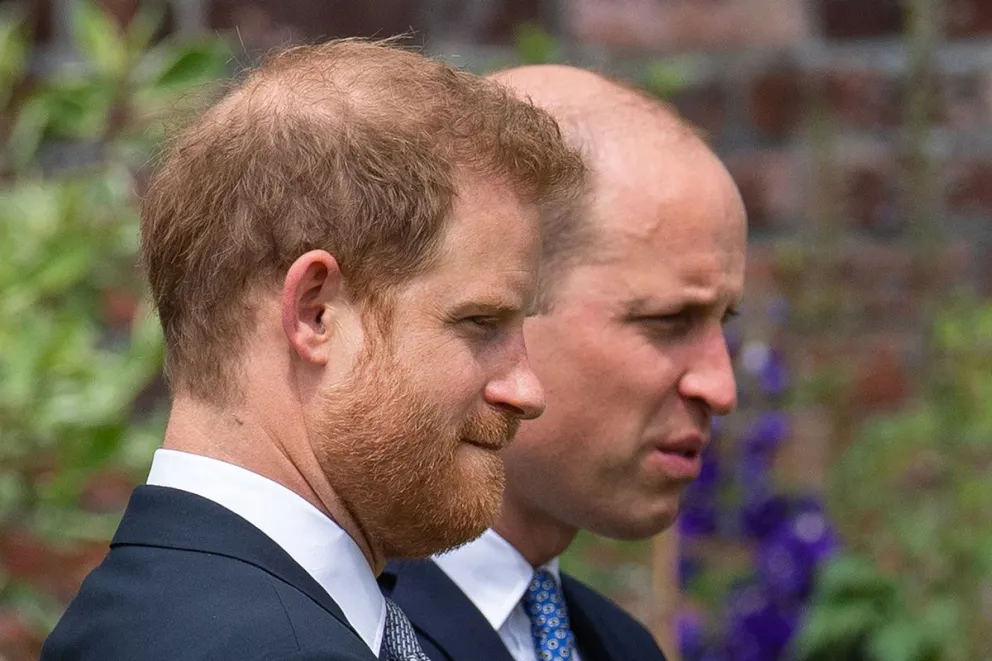 Príncipes Harry y William