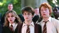 Harry Potter volvería al cine.