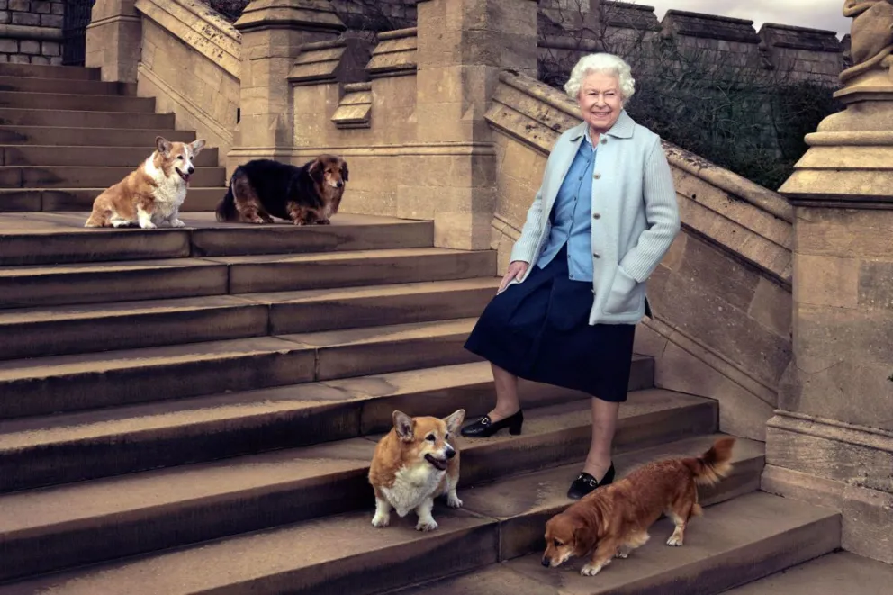 La conmovedora carta que la Reina Isabel II le escribió al veterinario que intentó salvar a su primera mascota