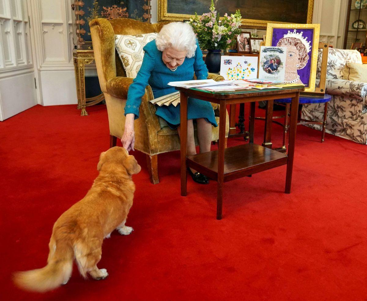 La reina Isabel II tenía un trato especial con sus mascotas.