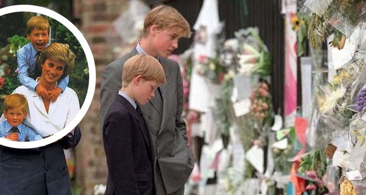 El pr&iacute;ncipe Harry buscaba comprender la muerte de su madre.