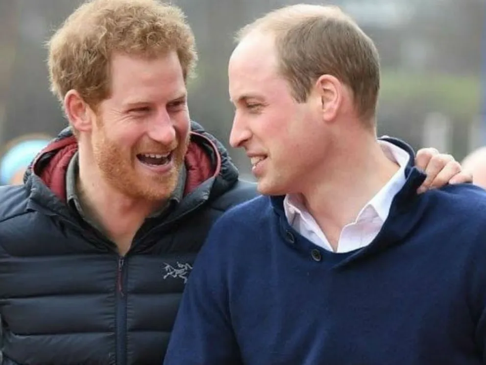Este es el estudio que reveló los increíbles sentimientos del príncipe Harry sobre el príncipe Guillermo