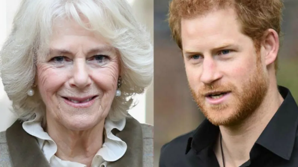Ni odio ni amor: esto es lo que realmente siente el príncipe Harry por Camila Parker
