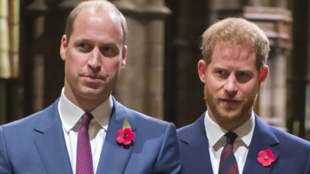 No fue por la pelea: por esto es que el príncipe William se alejó de Harry