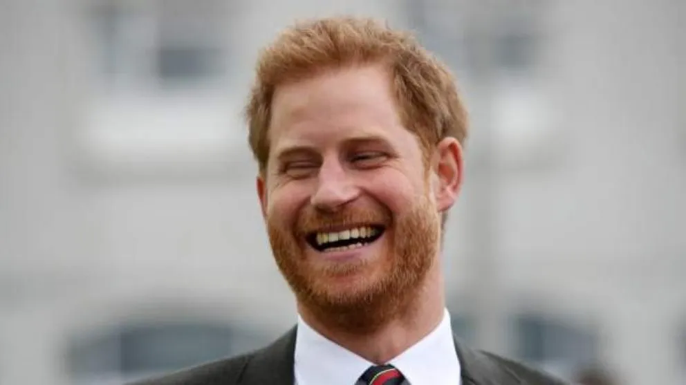 Un pastizal: esto es lo que el Príncipe Harry podrá recibir por su libro
