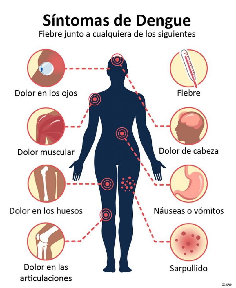 Aumento de casos de dengue y chikungunya en Salta