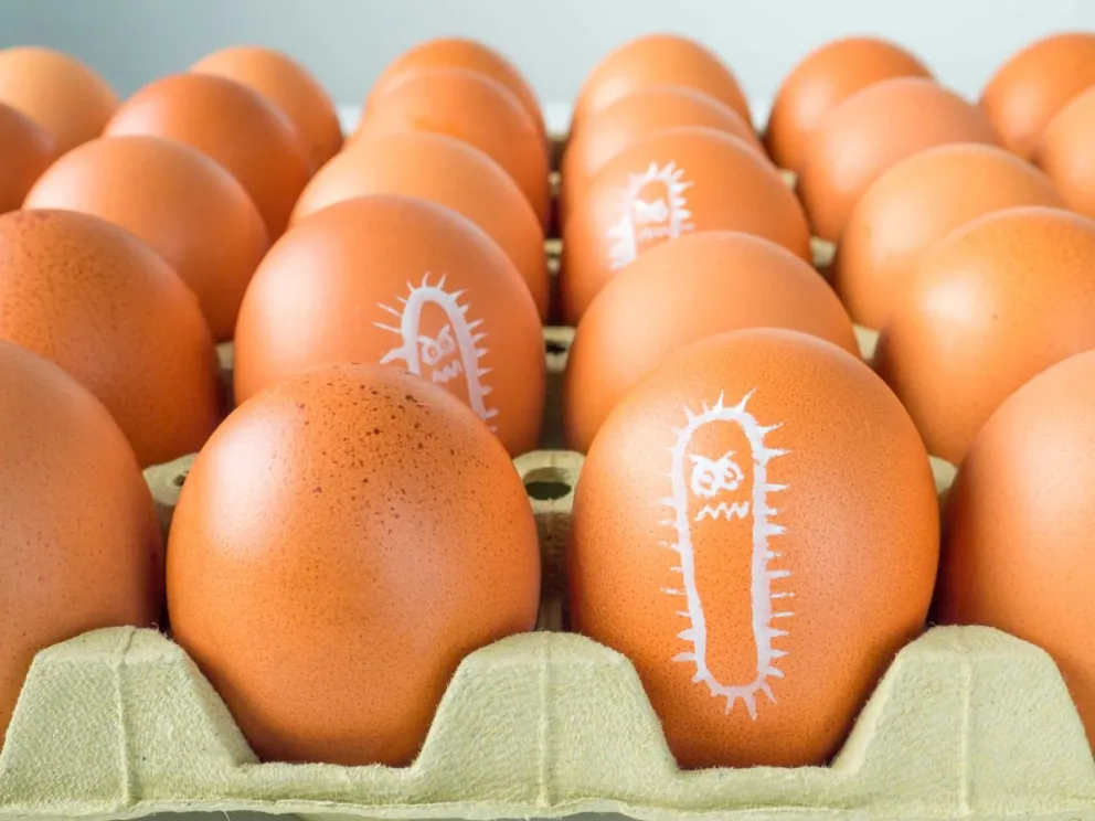 Alerta: aumentaron exponencialmente los casos de Salmonella en Salta