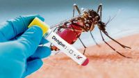 Detectaron el primer caso de dengue autóctono en Tartagal: recomiendan no descuidarse y extremar medidas