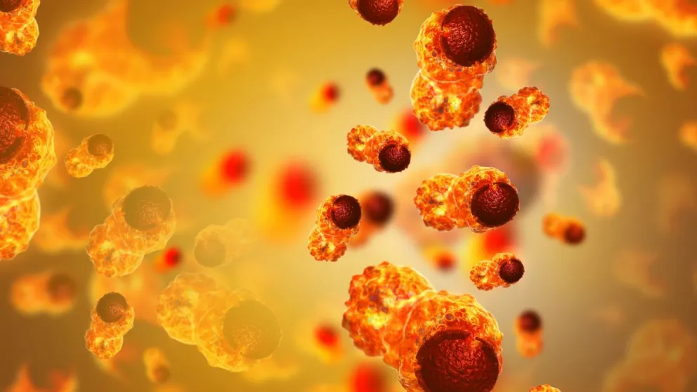 Científicos españoles están cada vez más cerca de lograr desarrollar la cura contra el cáncer