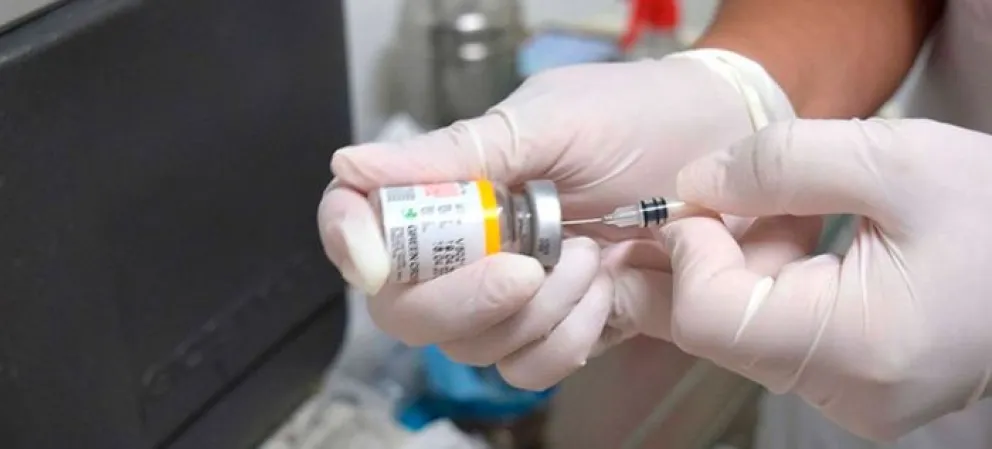 Fiebre amarilla: que es, cuáles son los síntomas y dónde te podés vacunar en Salta