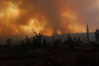 Incendios en Chile dejan 13 muertos y el gobierno decretó estado de catástrofe