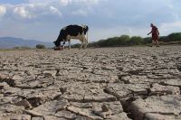 Declararon el Estado de Emergencia y Desastre Agropecuario en Salta